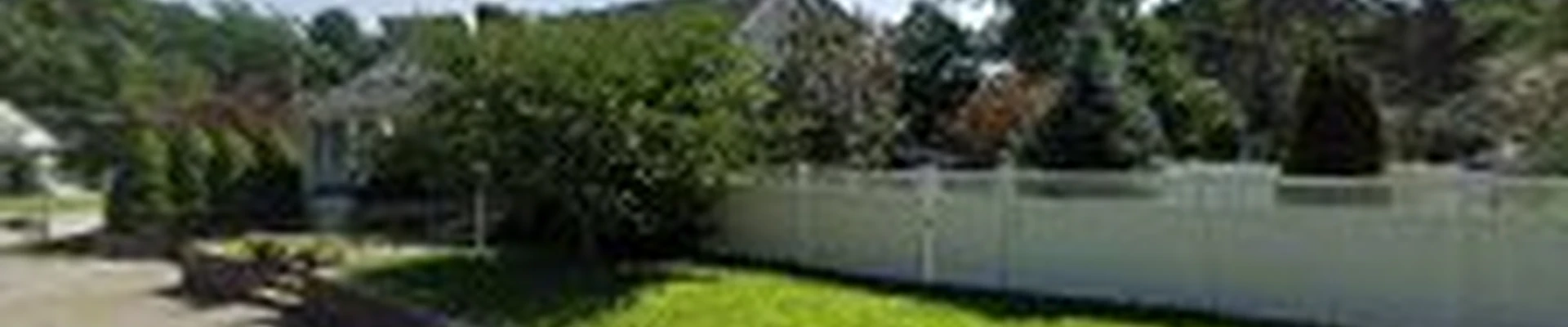 Wilmington Tree Service Expert