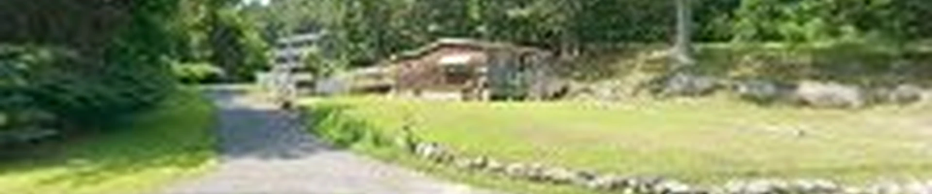 Arbor East Tree Service, Inc.