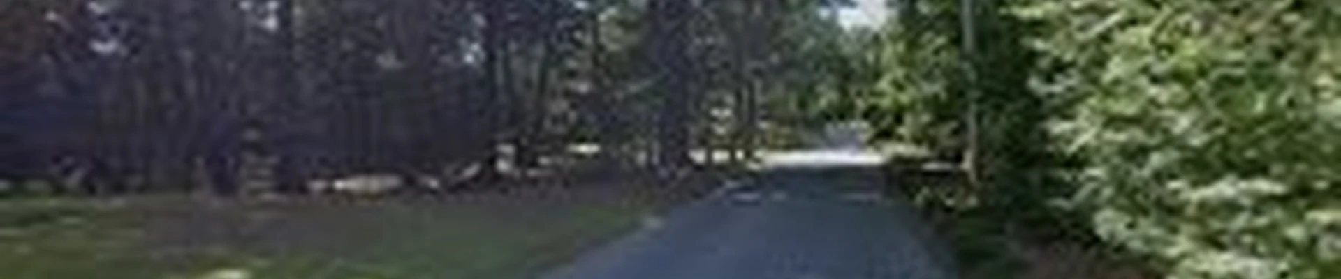 North Shore Tree Experts