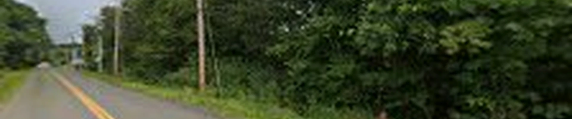 Cicoria Tree and Crane Service, Inc.