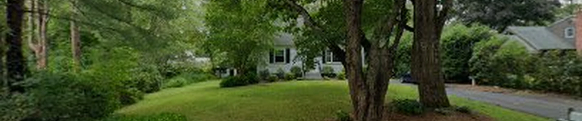 Burke Tree & Yard Maintenance