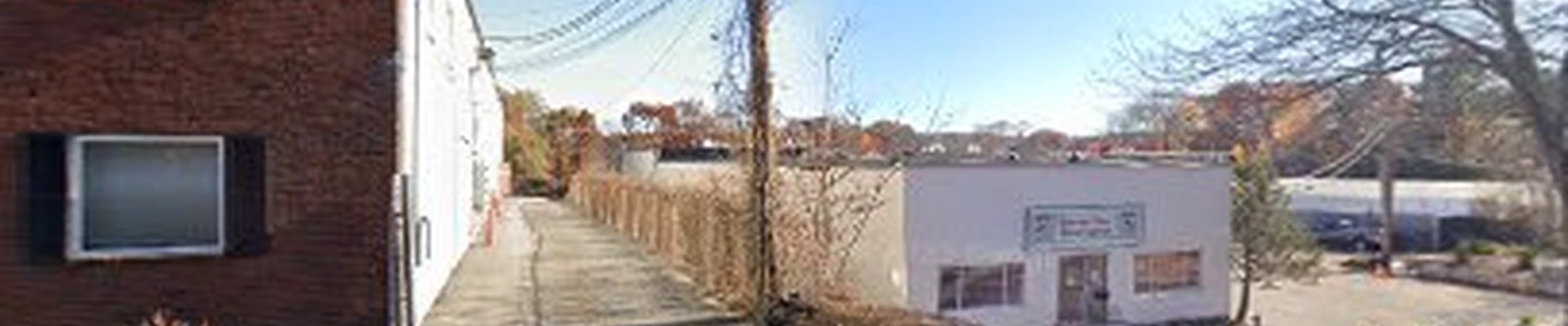 Cape Tree Preservation