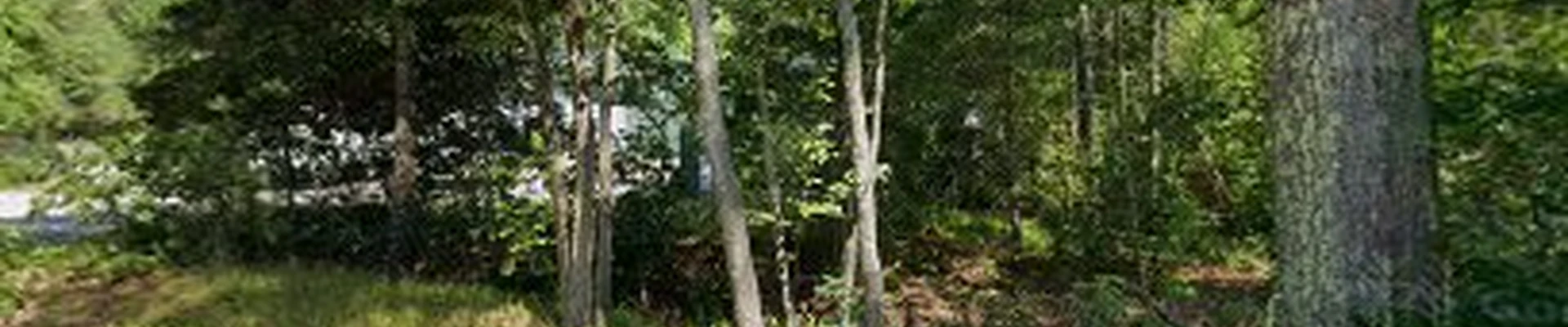 Willow Tree & Landscape Inc.