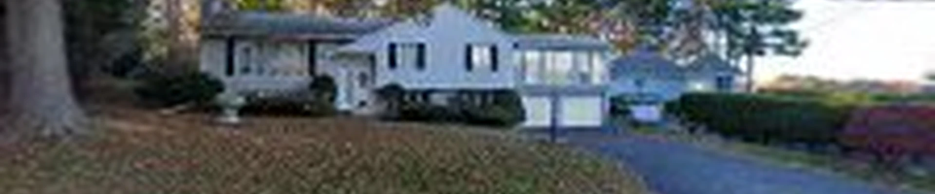 Maya Tree Health Care, Inc.