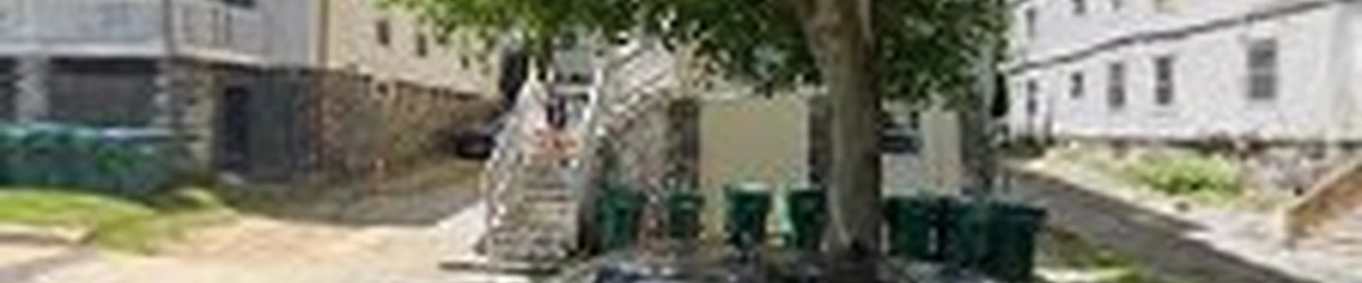 Calis Lanscaping & Construction LLC
