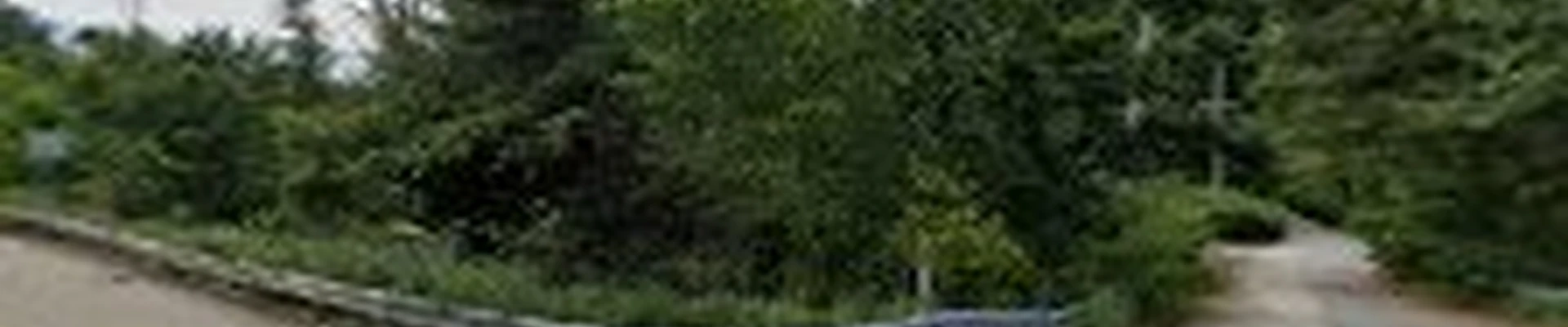 Greater Boston Tree Service