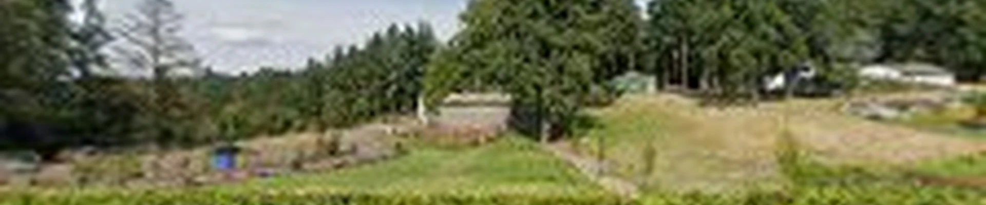 Green Sky Tree Services
