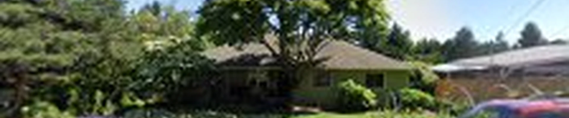 Colt Tree Service Inc.