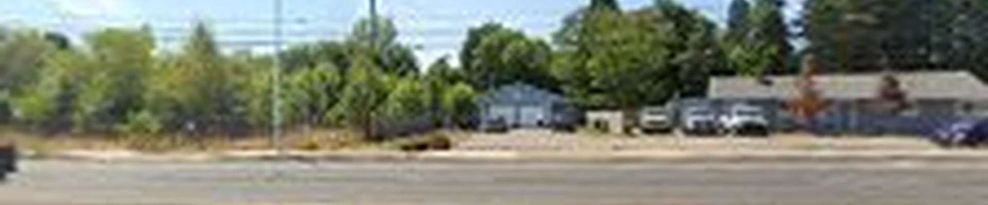 Green Leaf Tree Service LLC