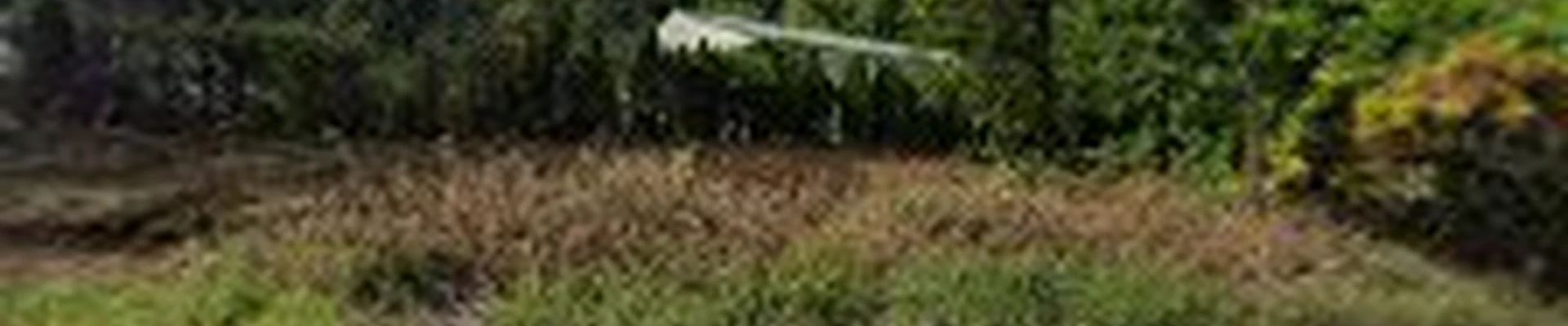 Alder Creek Tree Services LLC