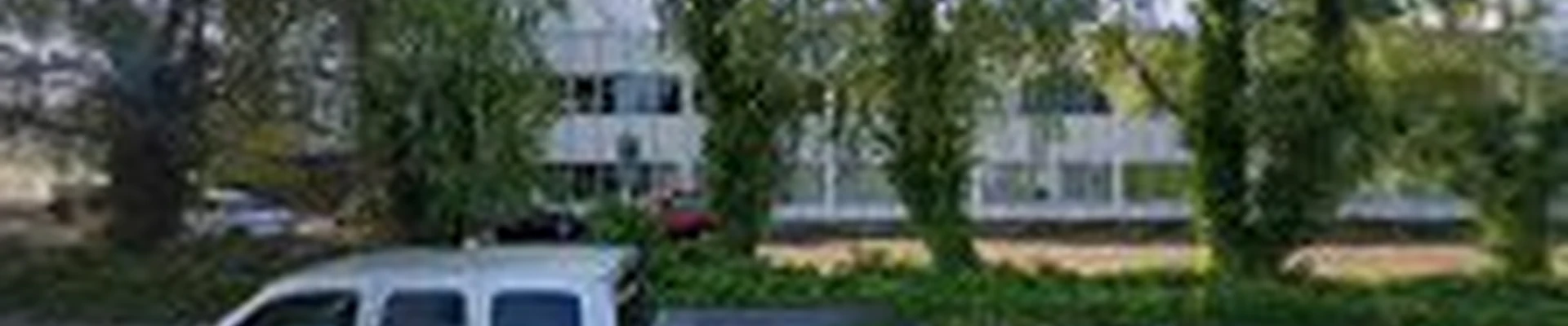 Tree Masters, Inc.