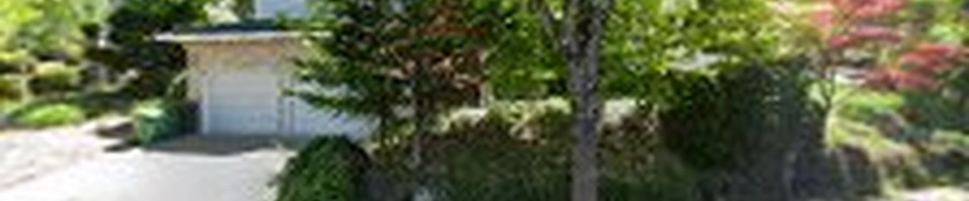 Peter's Tree Service LLC