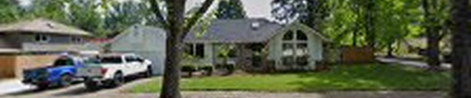 Capitol Tree Service Inc.