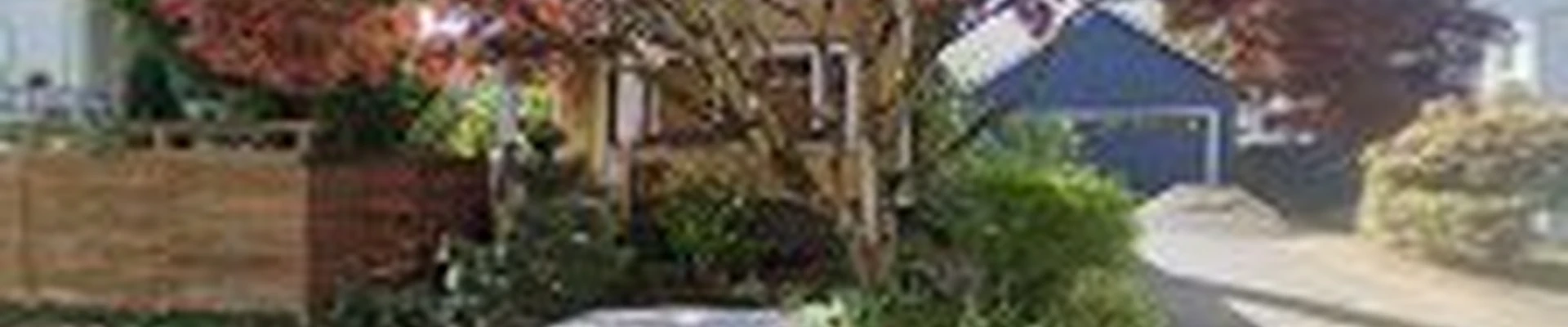 Clay's Tree Service
