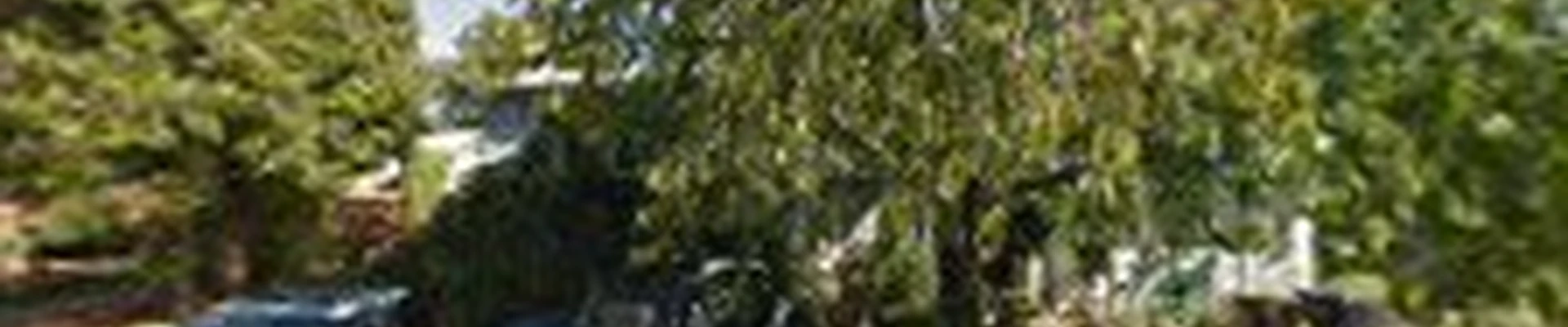 Fairweather Tree Experts