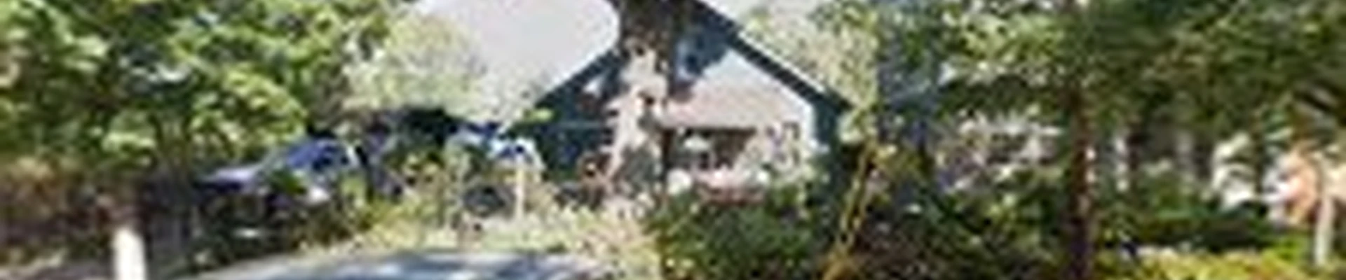 Second 2 None Tree Service