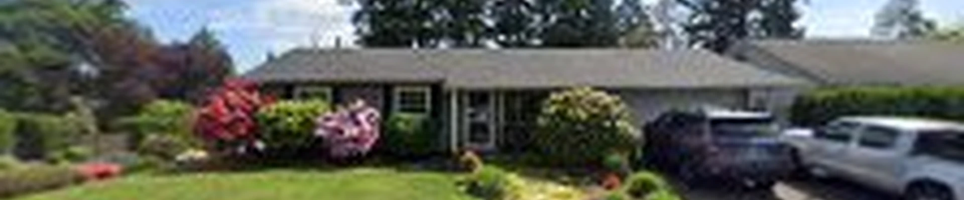 Mossy Tree Care