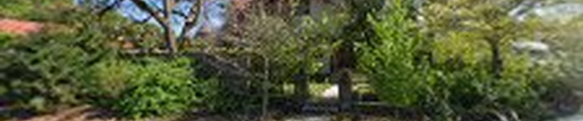 Honl Tree Care Inc