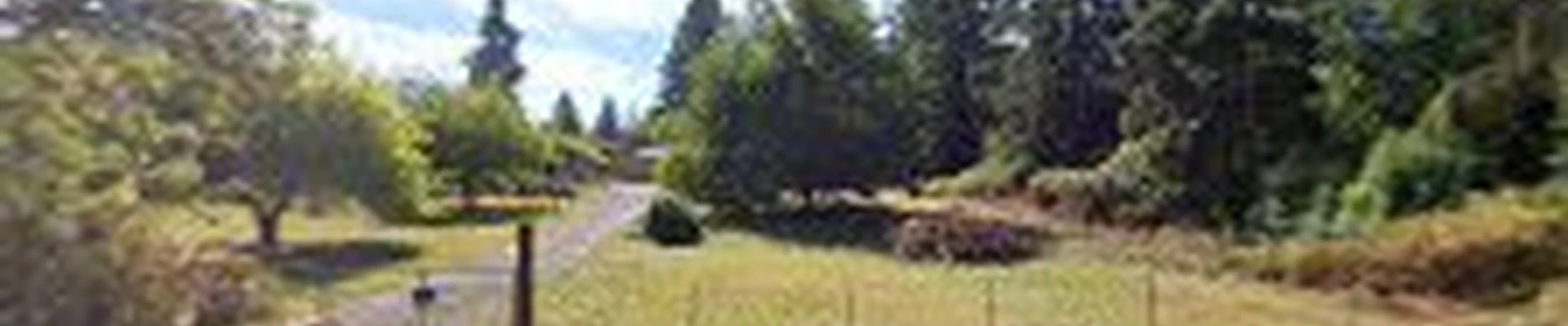 Tree Contractors Northwest Inc.