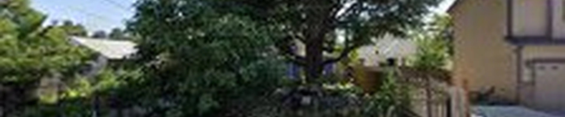 Crown and Bark Tree Service