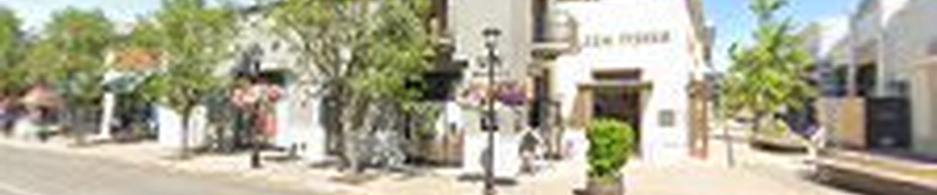 Dennis' 7 Dees Urban Plant Shop