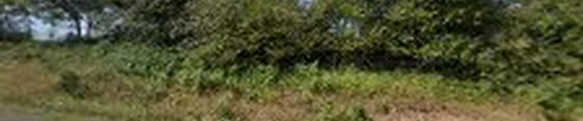 Tolleson Family Tree Care llc