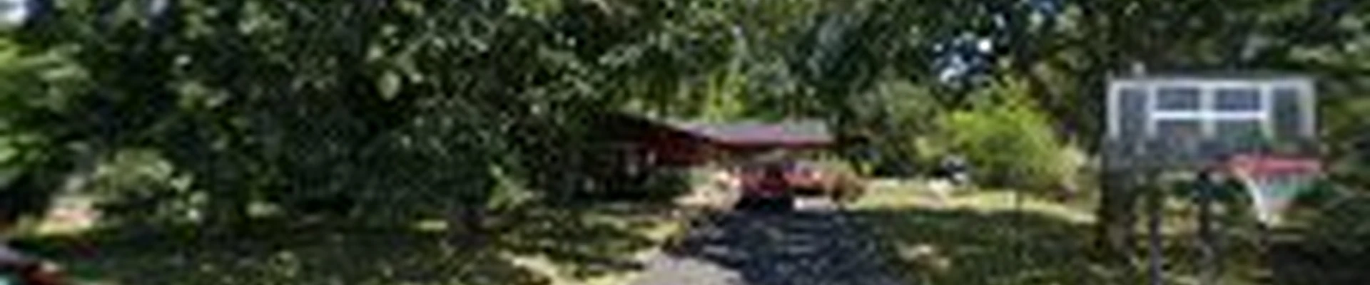 Chandler Tree inc