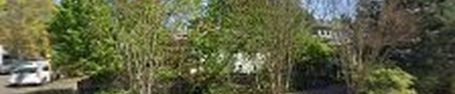 Understory Specialty Tree Care