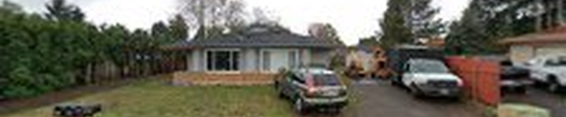 Diego P Tree Services