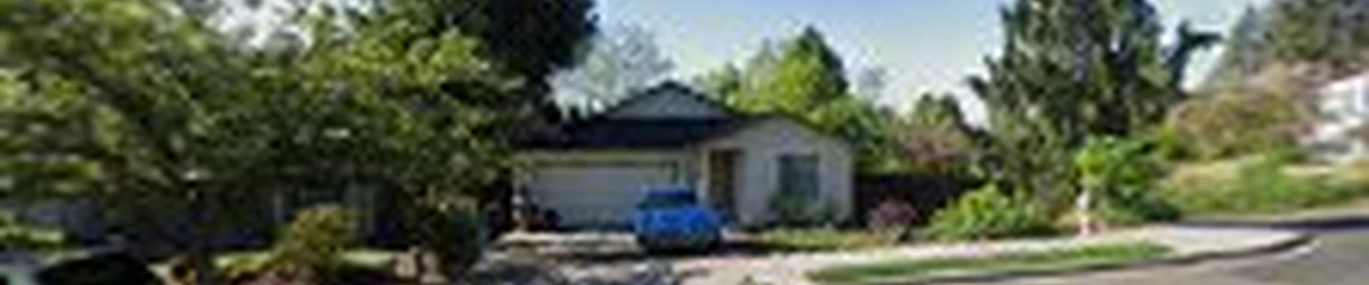 Tree Pros/ Restoration Pruning