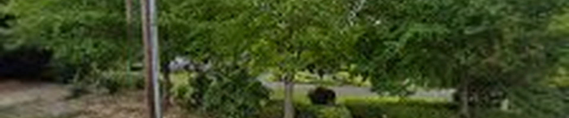 New Day Arborist