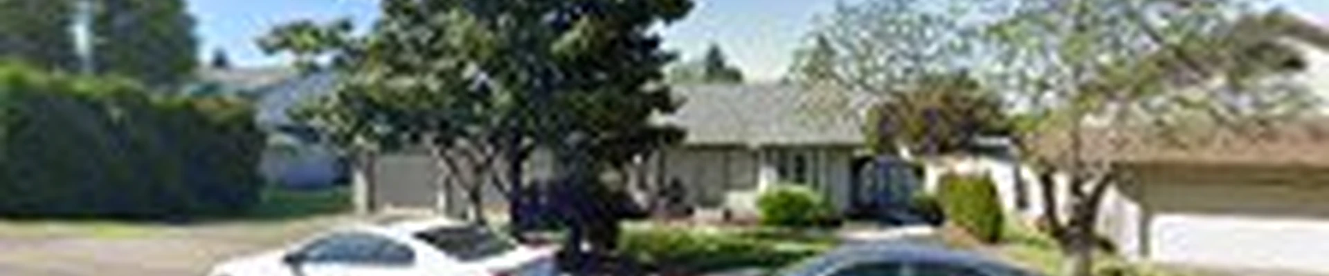 M&R Tree services