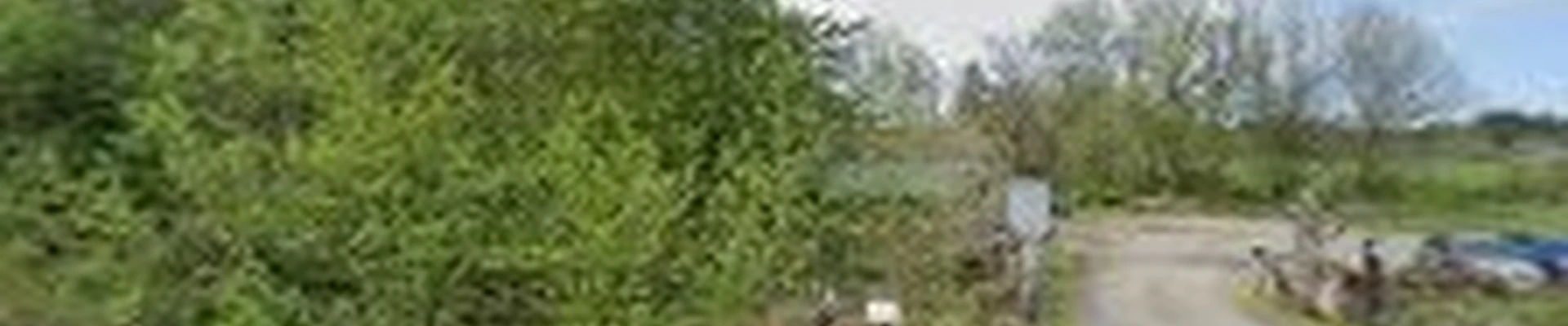 Arbor City Tree Care