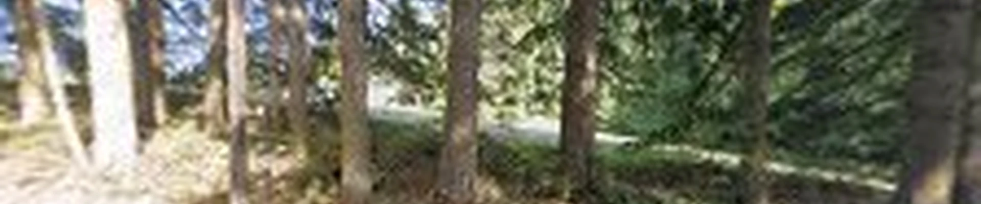 JM TREE EXPERT LLC