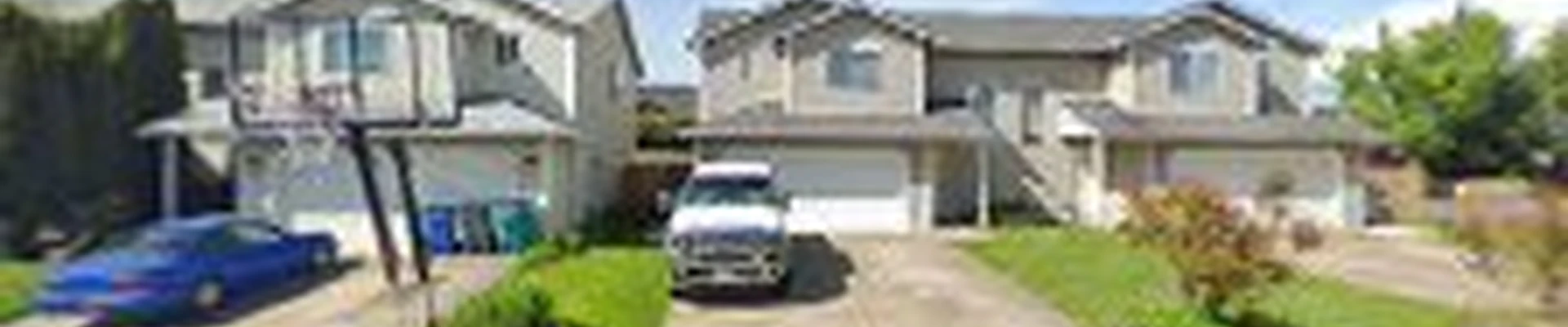 Tree Carex llc