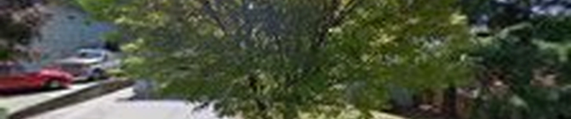 S.W. Boutique Tree Service, LLC