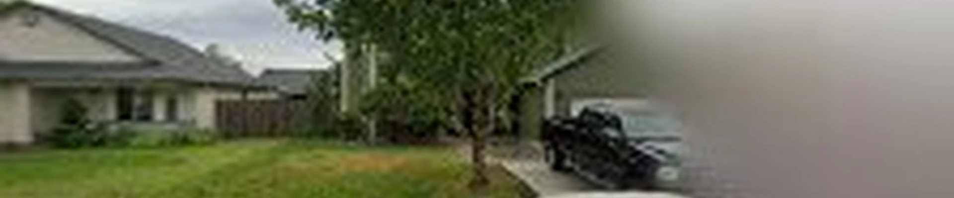 Zapps Tree & Yard Services