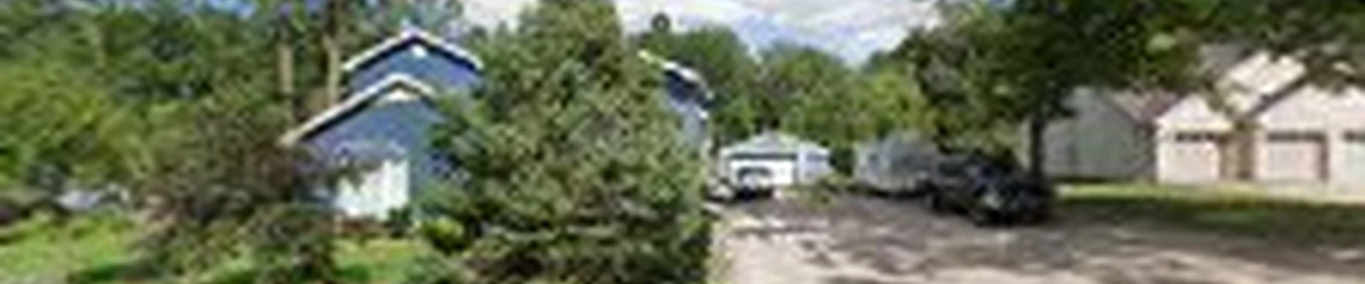 Evergreen Tree & Restoration