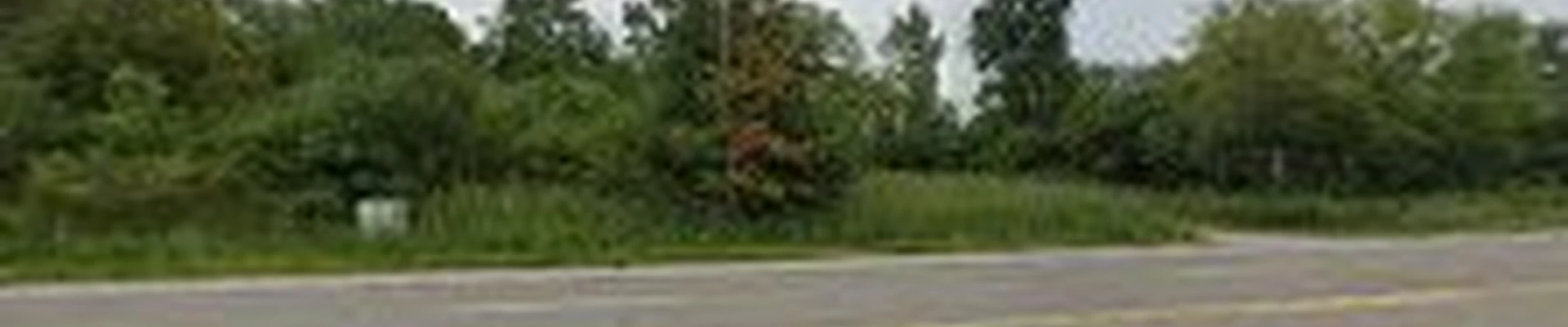 One of a Kind Tree Services, LLC.