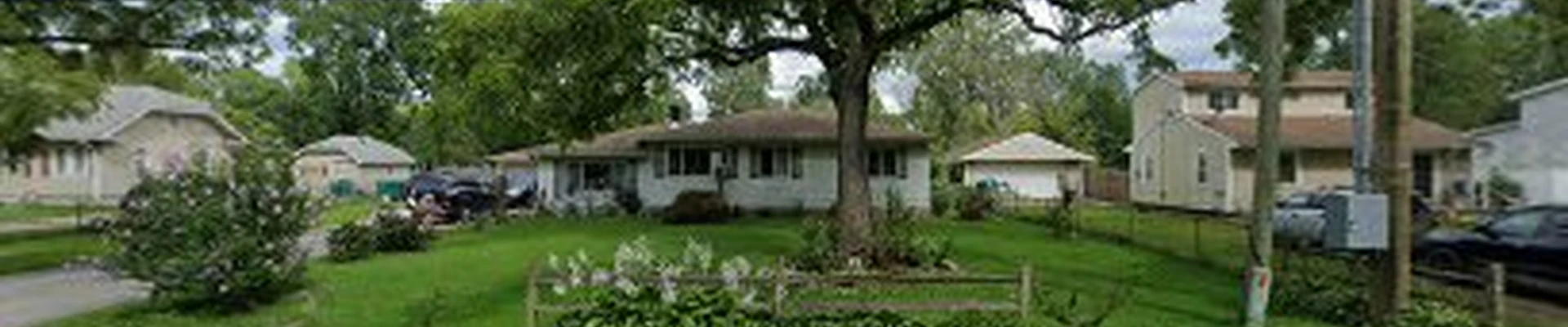 Downs Tree Service