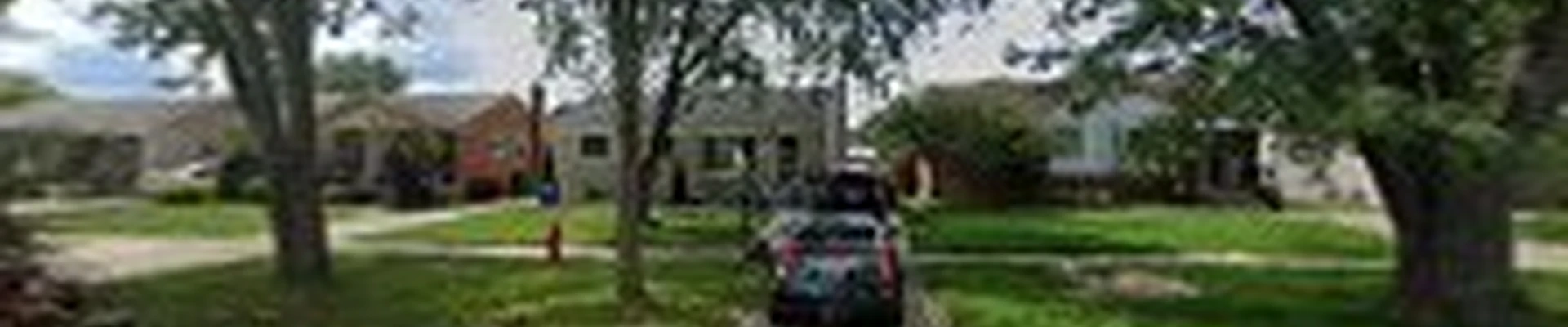 Chris G's Tree service