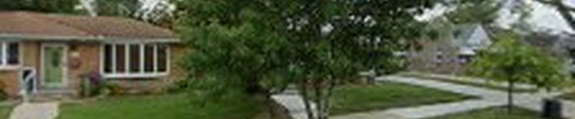 Cassidy & Company Tree Service