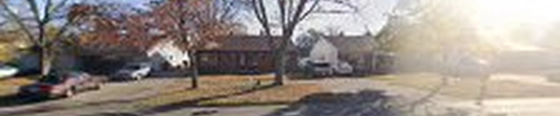 Mullins Tree Service