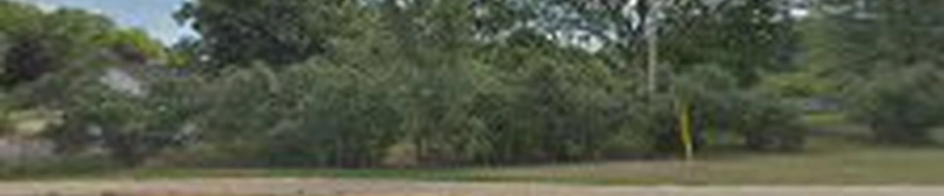 Michigan Tree & Stump
