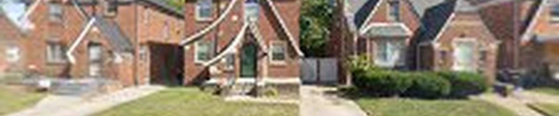 Da' Treeman Tree and Bush Removal (affordable year round tree service)