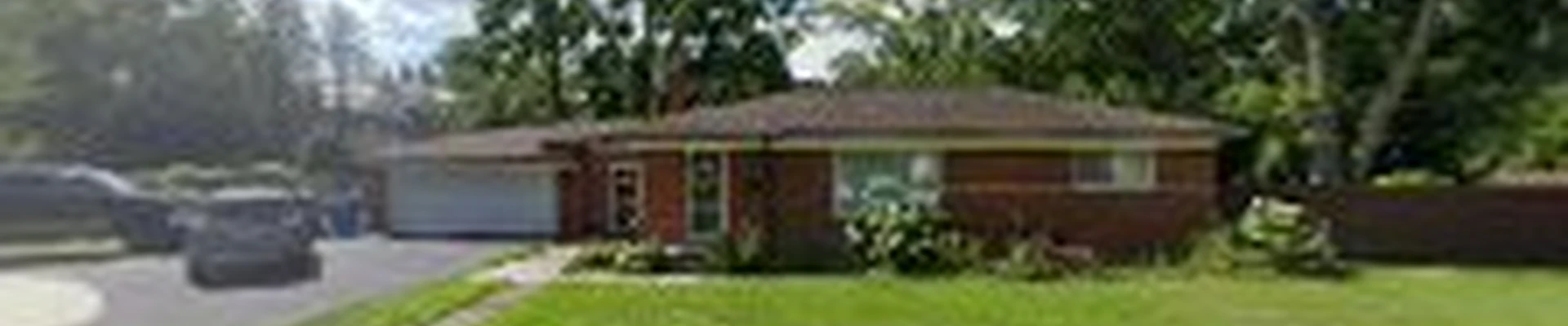 Cost Friendly Tree Service