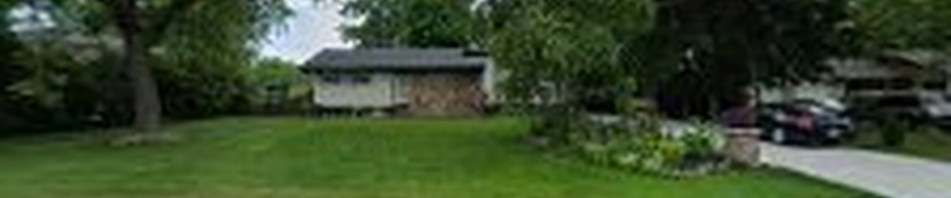 Tree service of Windsor