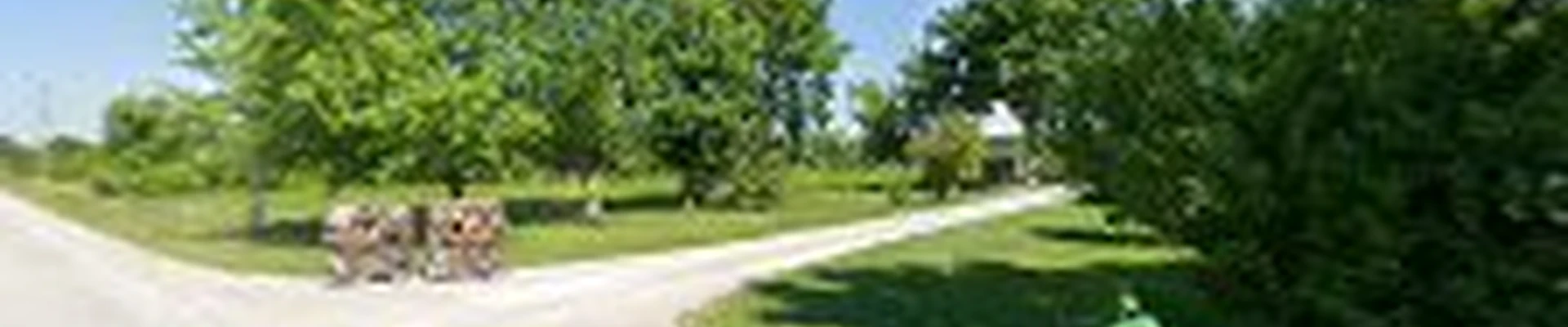 Parks Tree Service
