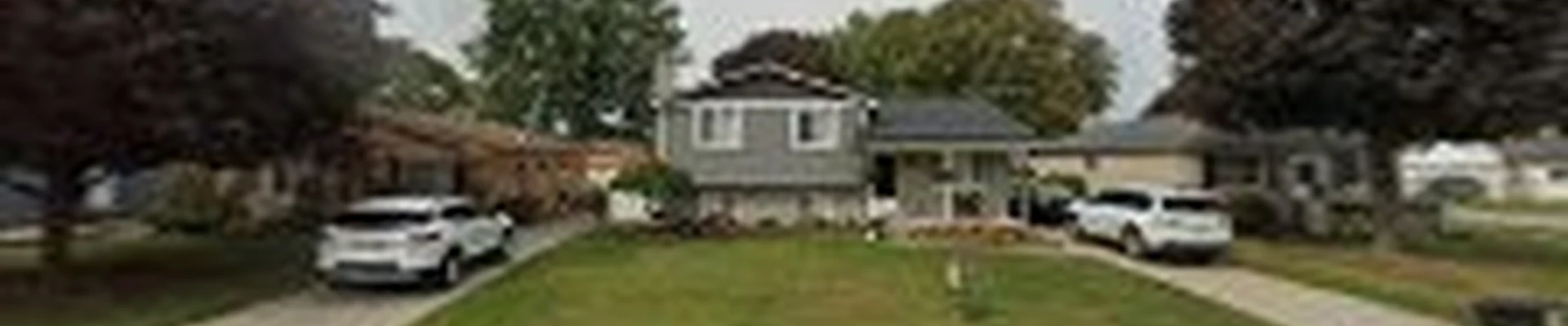 Tree Solutions LLC