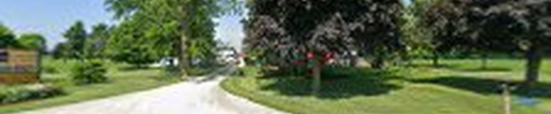 County Wide Tree Service